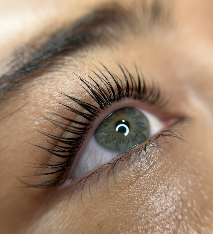 Skin-Stick Flat Lay Curlers - Beautiful Brows and Lashes