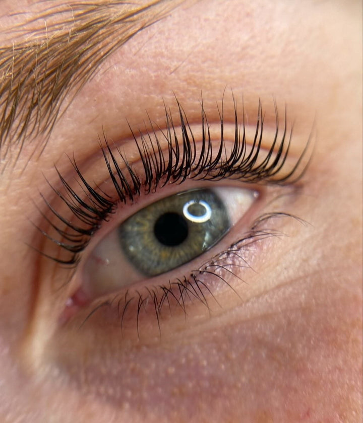 "M" Lifter Shields - Beautiful Brows and Lashes