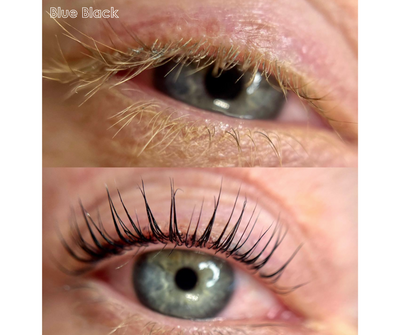 Eyelash and Eyebrow Tint - 20ml