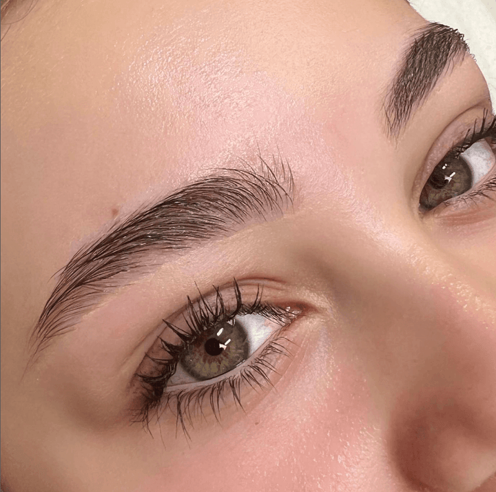 Educator Waxing and Tinting Beginner's Kit - Beautiful Brows and Lashes