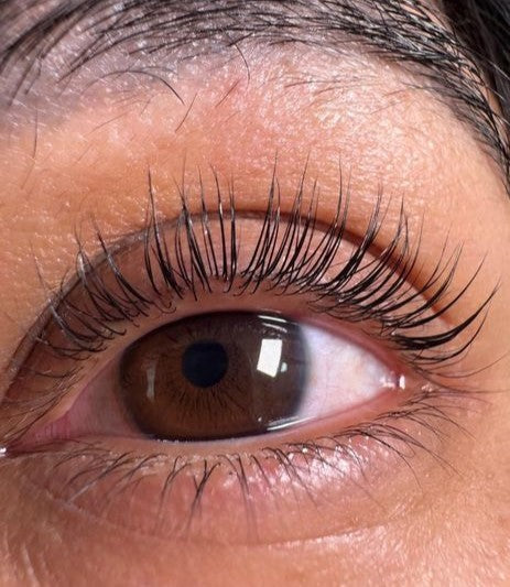 Skin-Stick Ultimate Curlers - Beautiful Brows and Lashes