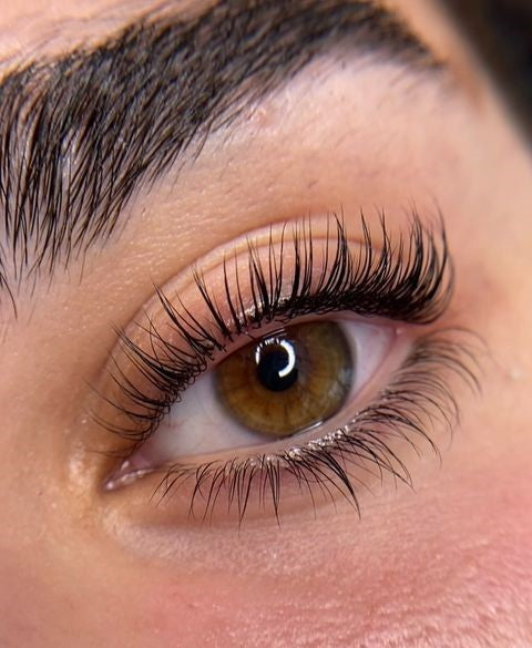 Bottom Lash Lifters - Beautiful Brows and Lashes