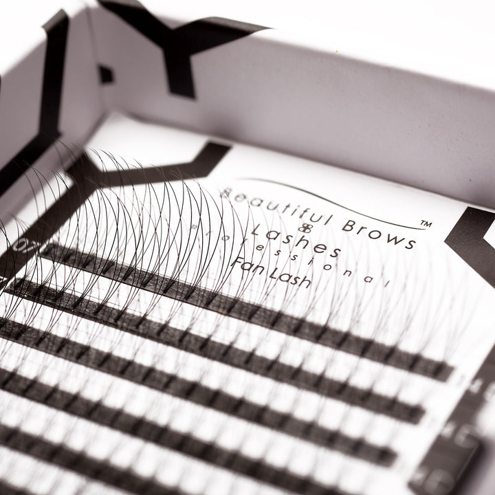 3D Fan Lashes - Beautiful Brows and Lashes