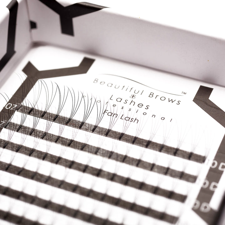 4D Fan Lashes - Beautiful Brows and Lashes