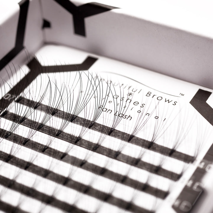 6D Fan Lashes - Beautiful Brows and Lashes