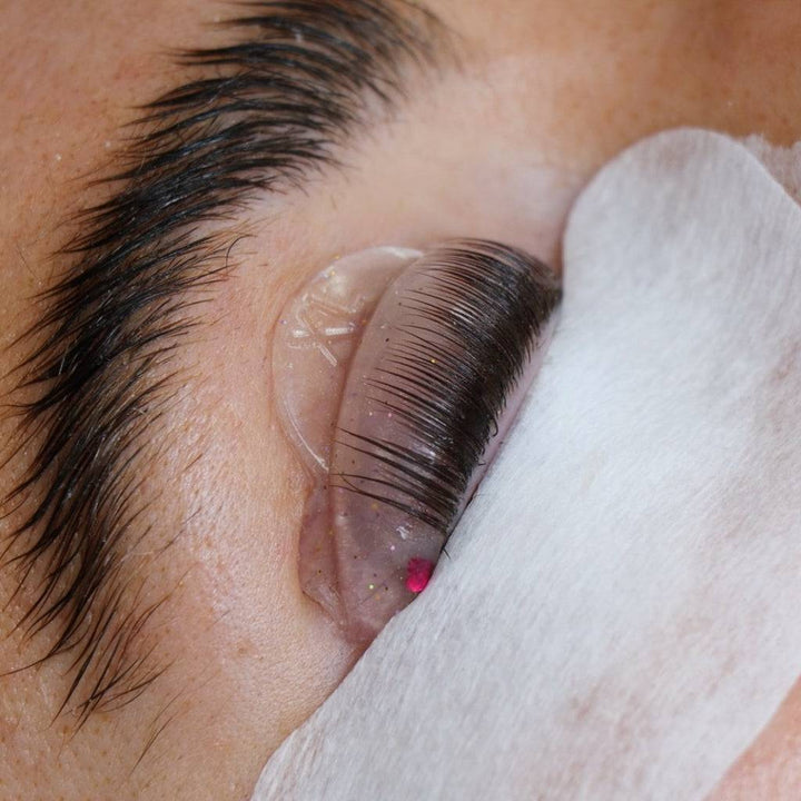 Korean Crown Shields