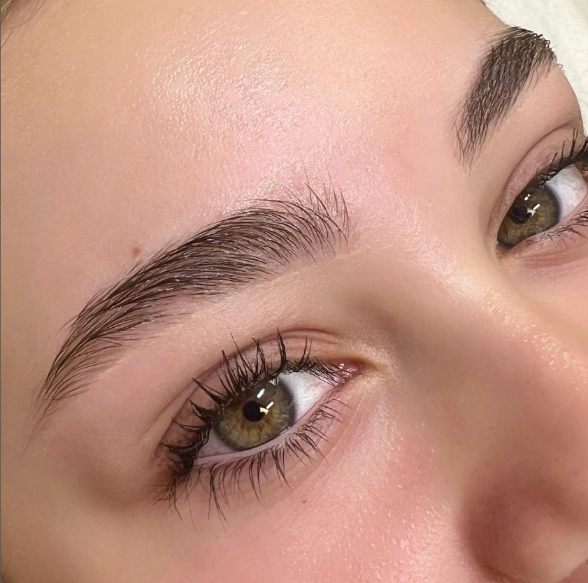 Educator Waxing and Tinting Beginner's Kit - Beautiful Brows and Lashes 